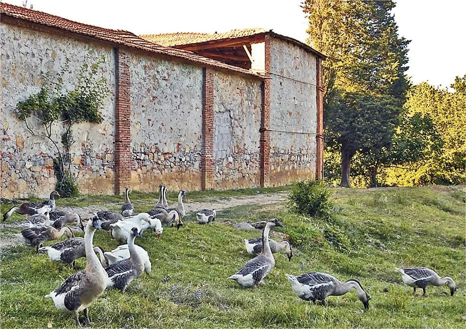 Apartment Fattoria Agriturismo Bigongiari Lucca